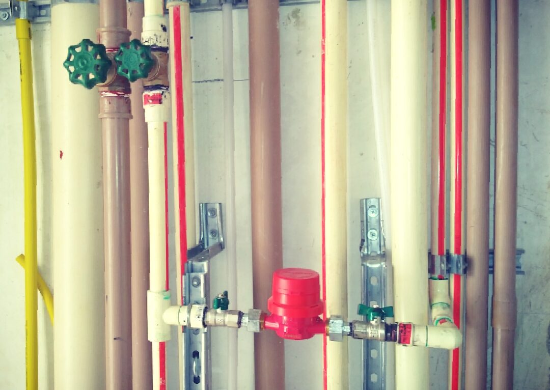 WhatsApp Image 2020-07-27 at 14.24.43