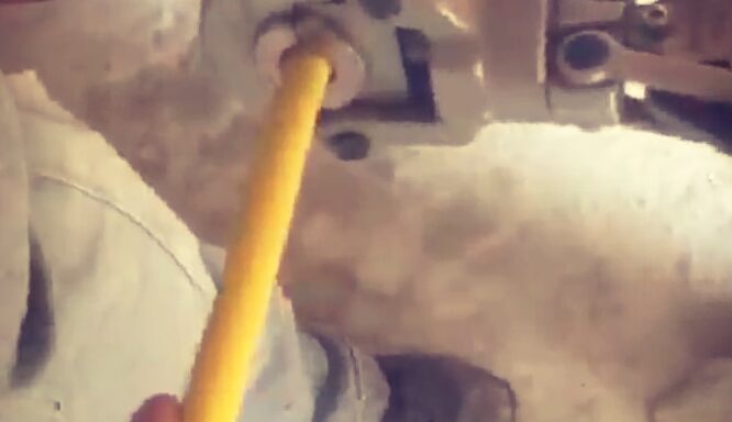 WhatsApp Image 2020-08-03 at 12.50.55 WhatsApp Image 2020-08-03 at 12.50.55