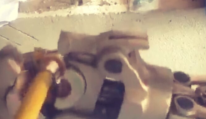 WhatsApp Image 2020-08-03 at 12.51.25 WhatsApp Image 2020-08-03 at 12.51.25