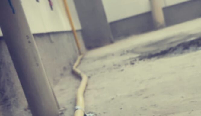 WhatsApp Image 2020-08-03 at 12.59.54 WhatsApp Image 2020-08-03 at 12.59.54