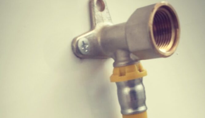 WhatsApp Image 2020-08-03 at 13.00.29 WhatsApp Image 2020-08-03 at 13.00.29