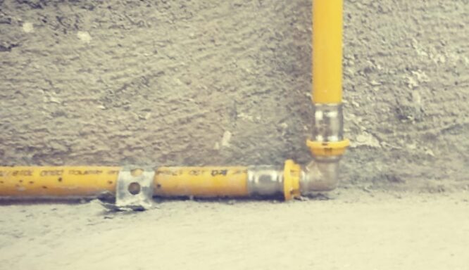 WhatsApp Image 2020-08-03 at 13.00.58 WhatsApp Image 2020-08-03 at 13.00.58