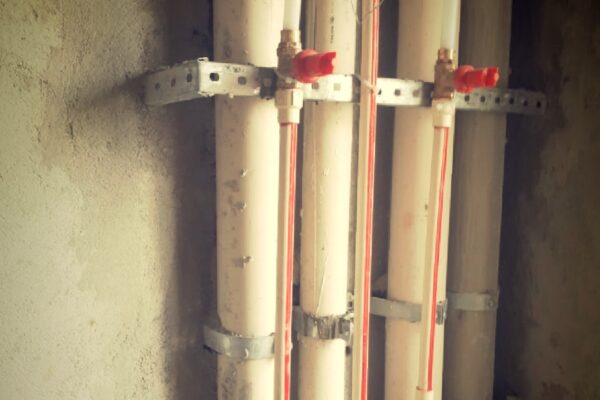 WhatsApp Image 2020-08-21 at 17.36.21